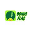 bonus-flas